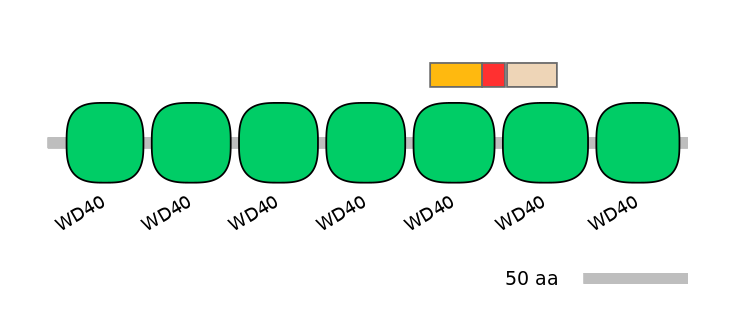BtaEX6047403-INC