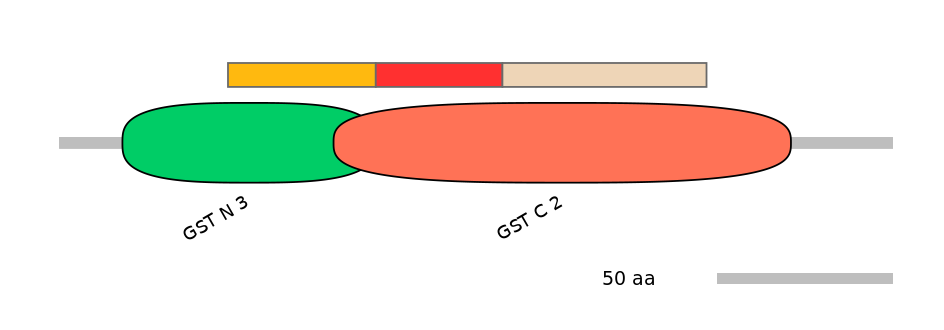 BtaEX6047630-INC