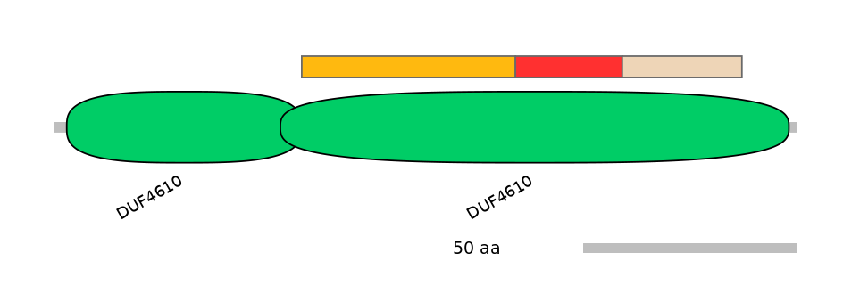 BtaEX6047633-INC
