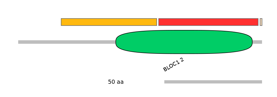 BtaEX6047723-INC