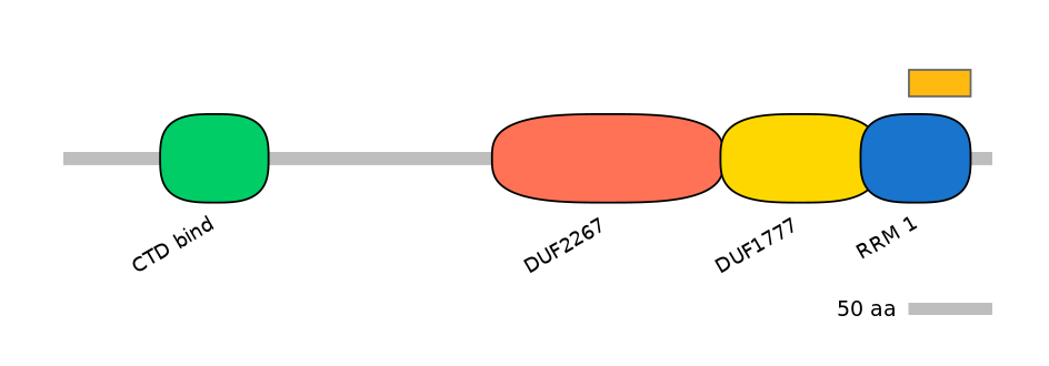 BtaEX6050095-EXC