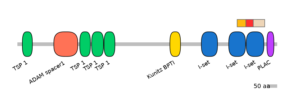 BtaEX6054929-INC