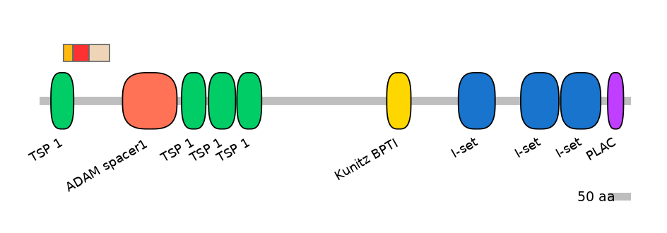 BtaEX6054940-INC