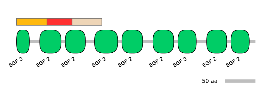 BtaEX6057276-INC