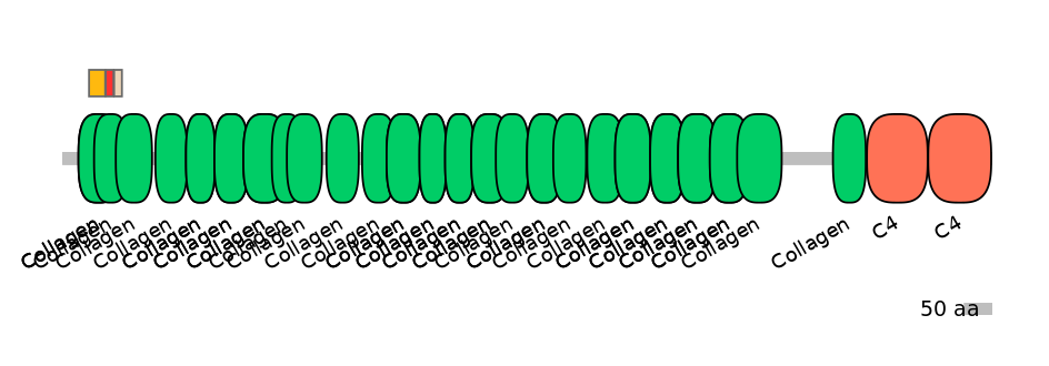 BtaEX6057382-INC