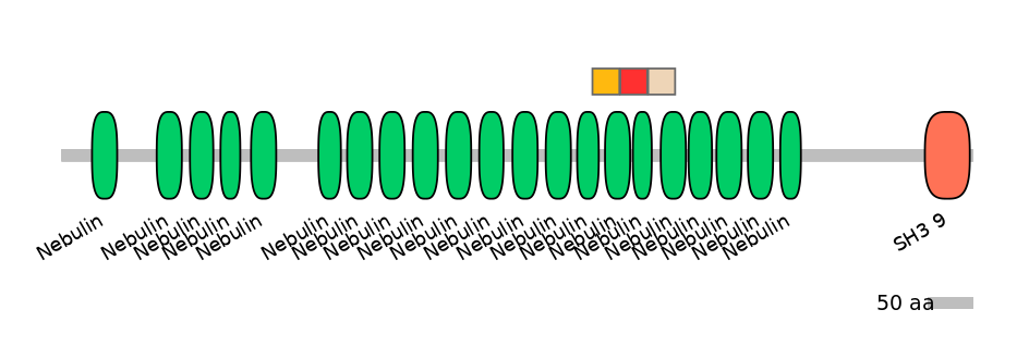 BtaEX6064029-INC