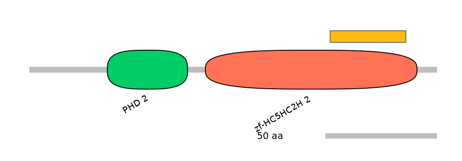 BtaEX6064048-EXC