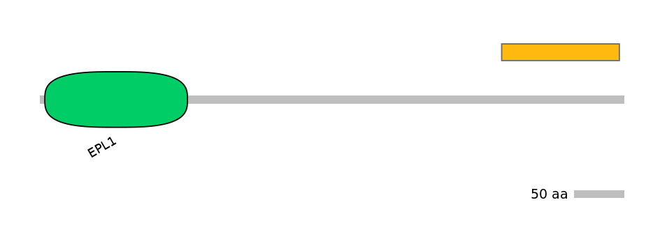 BtaEX6064423-EXC
