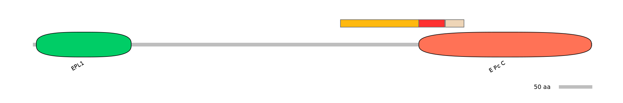BtaEX6064423-INC