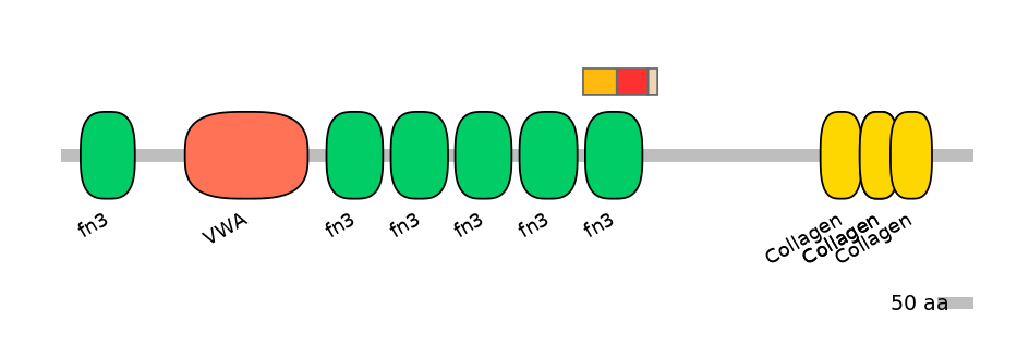BtaEX6065464-INC