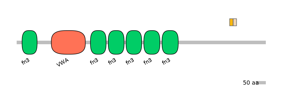 BtaEX6065471-EXC