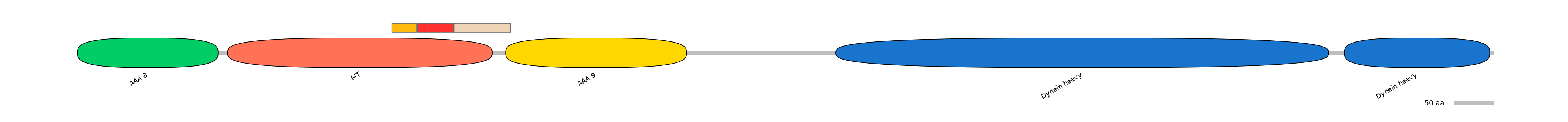 BtaEX6068020-INC