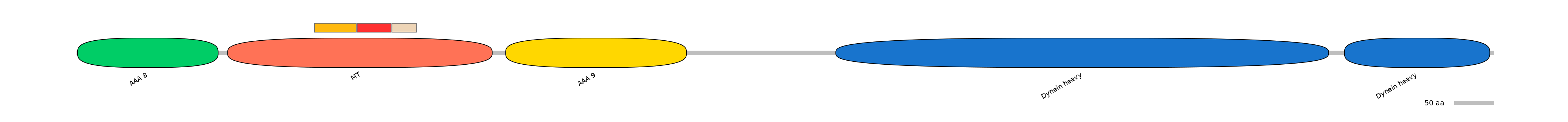 BtaEX6068021-INC