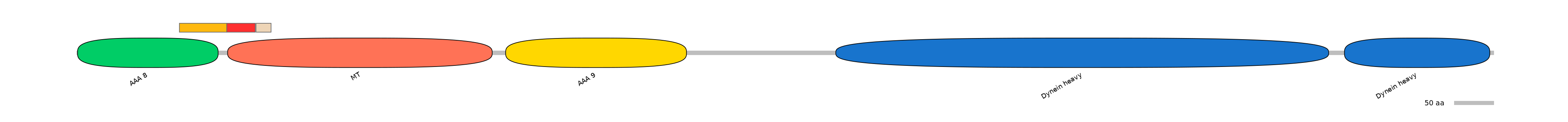 BtaEX6068023-INC