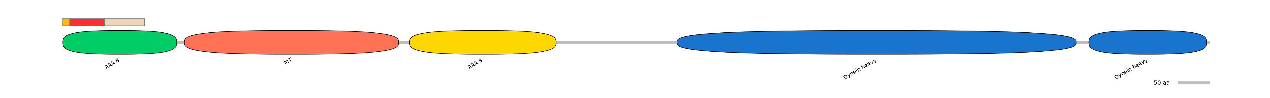 BtaEX6068026-INC