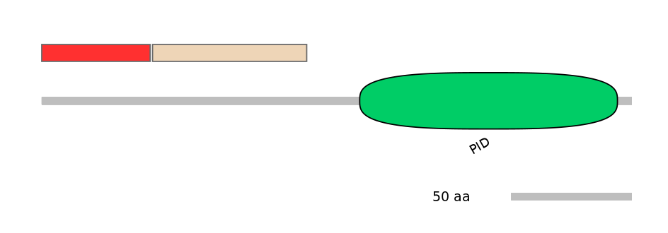 BtaEX6069869-INC