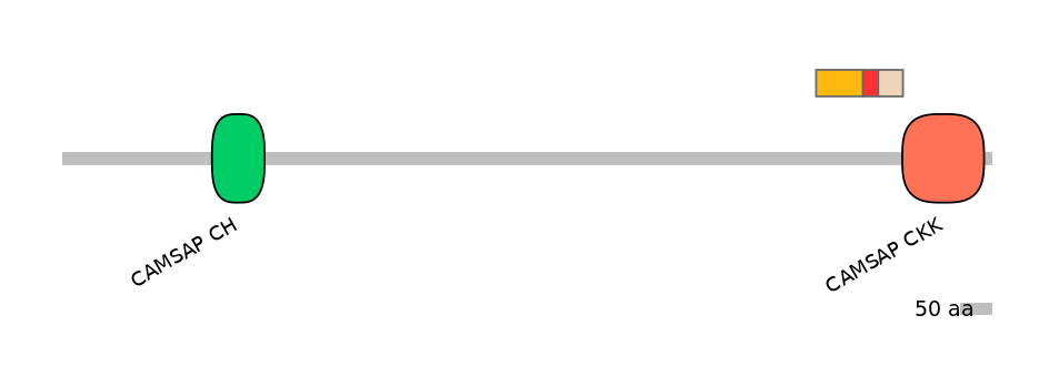BtaEX6070978-INC