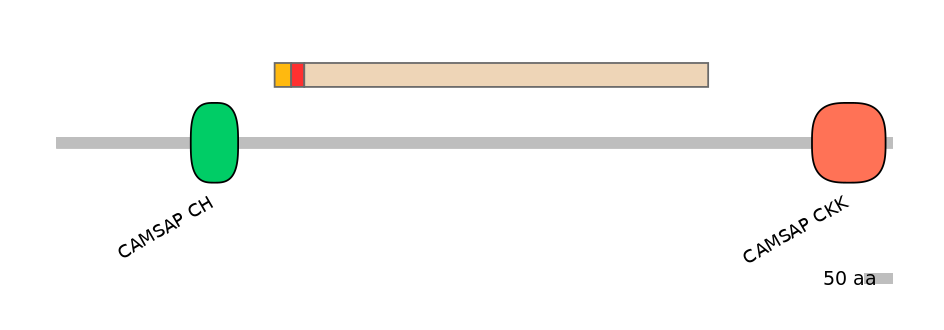 BtaEX6070982-INC