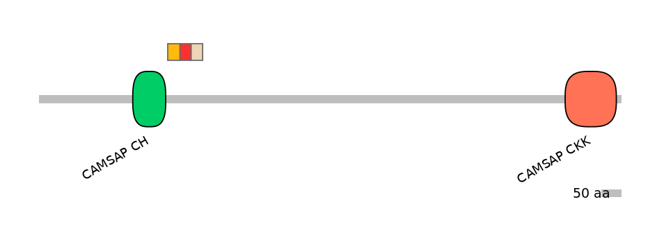 BtaEX6070983-INC