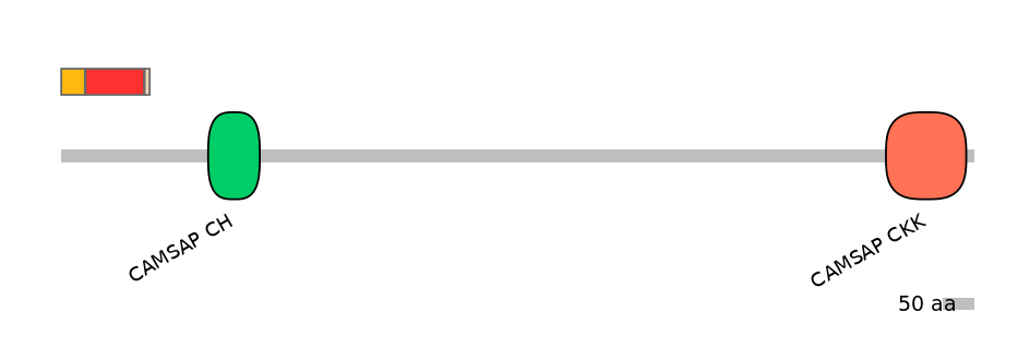 BtaEX6070989-INC