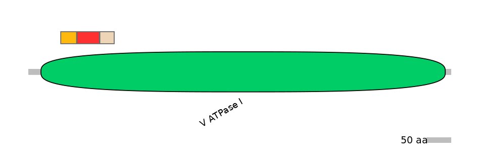 BtaEX6072261-INC