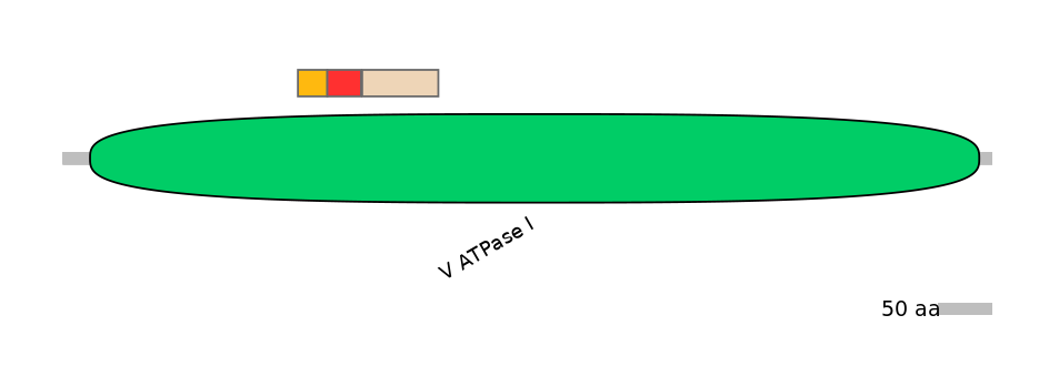 BtaEX6072264-INC