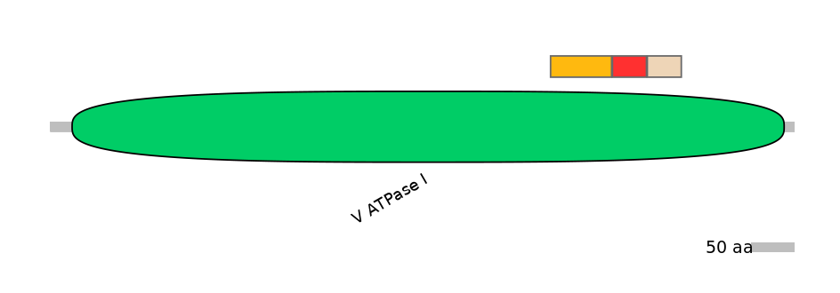 BtaEX6072271-INC