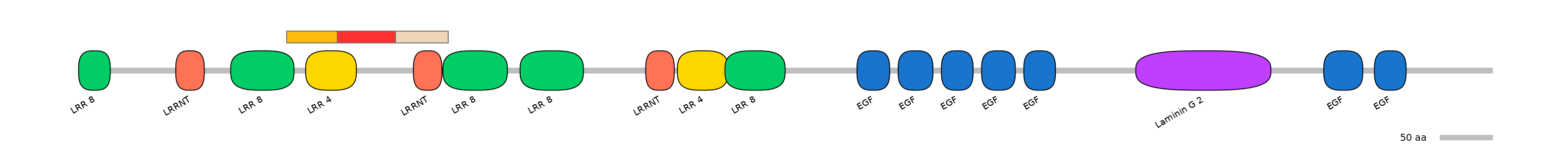 BtaEX6074456-INC