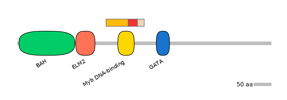 BtaEX6079077-INC