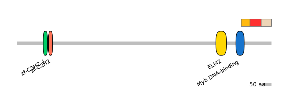 BtaEX6083216-INC