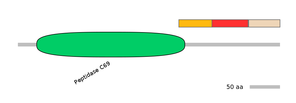 BtaEX6088098-INC