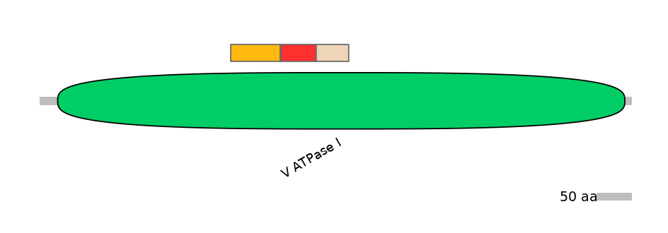 BtaEX6088807-INC