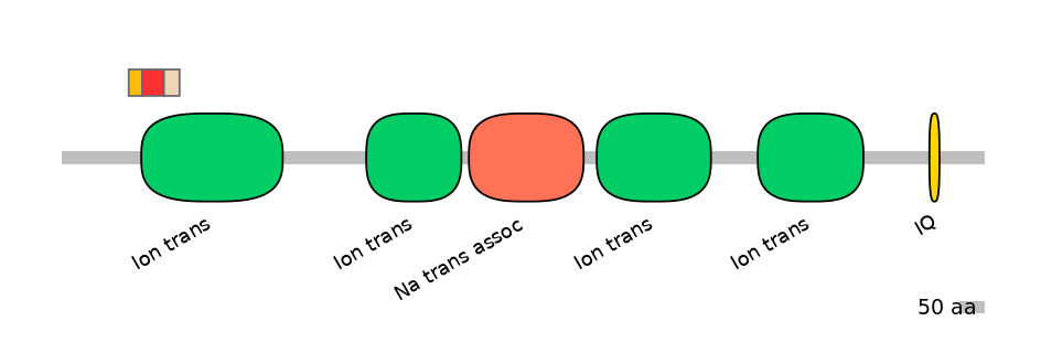 BtaEX6089636-INC