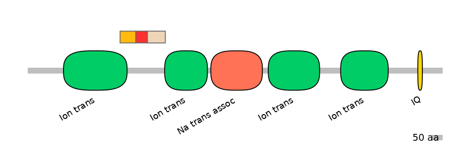 BtaEX6089642-INC