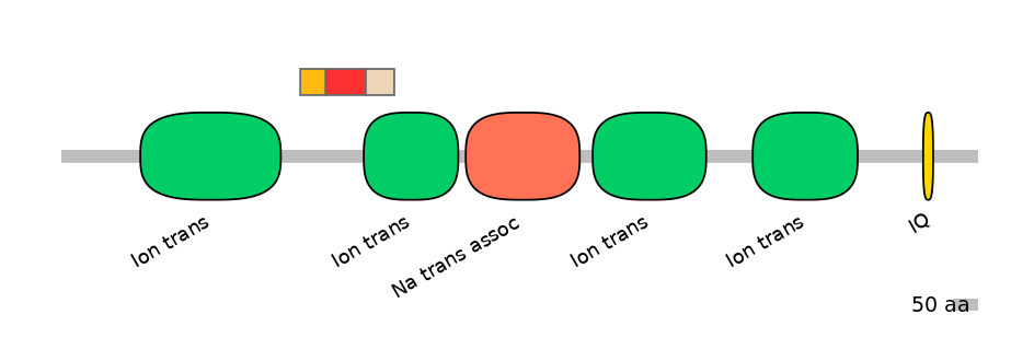 BtaEX6089643-INC