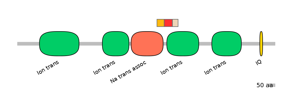 BtaEX6089649-INC
