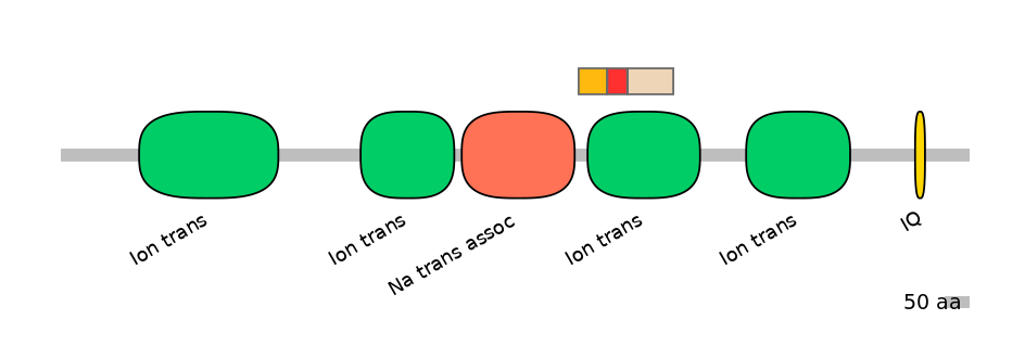 BtaEX6089650-INC