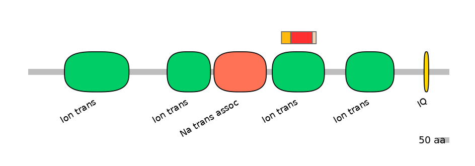 BtaEX6089651-INC