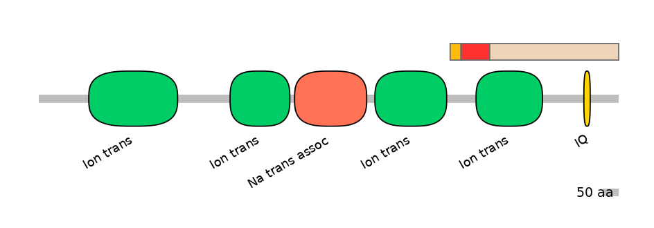BtaEX6089655-INC
