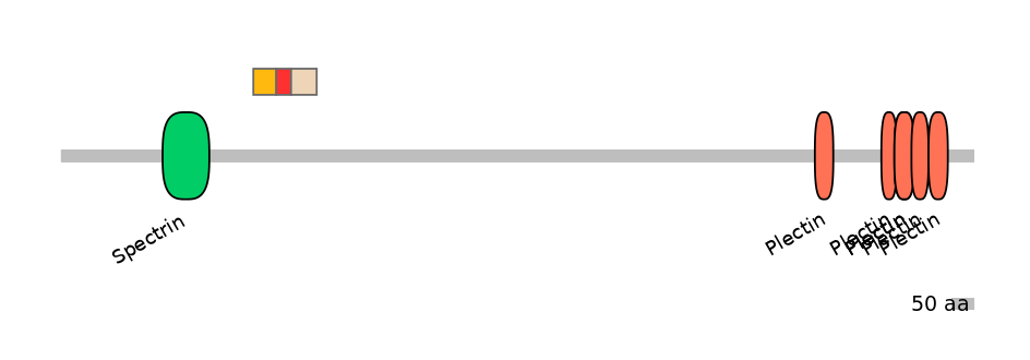 BtaEX6090627-INC