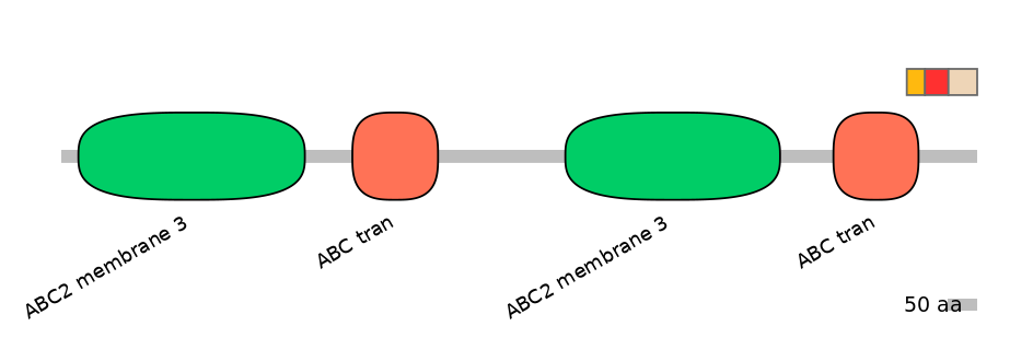 BtaEX6091080-INC