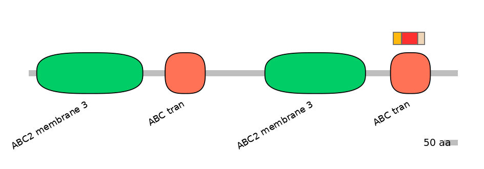 BtaEX6091083-INC