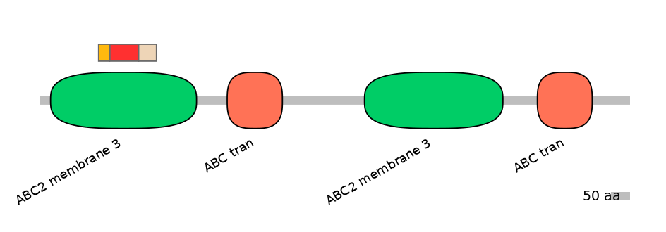 BtaEX6091101-INC