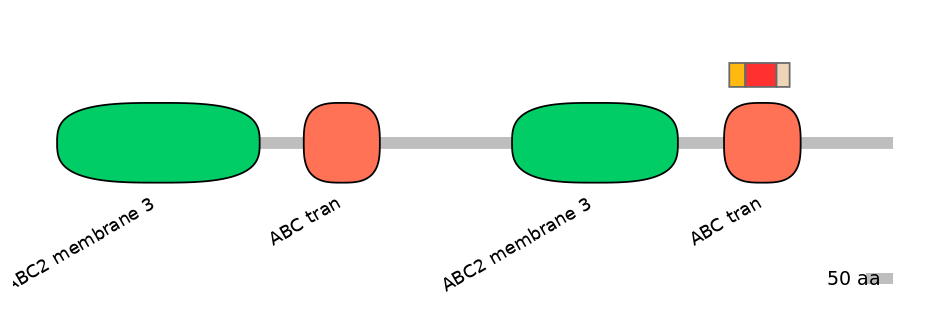 BtaEX6091107-INC
