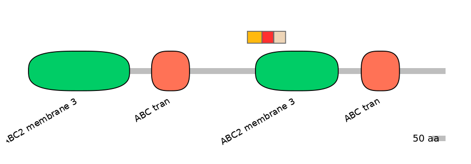 BtaEX6091116-INC