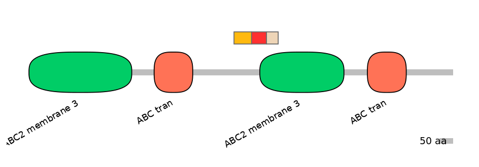 BtaEX6091117-INC