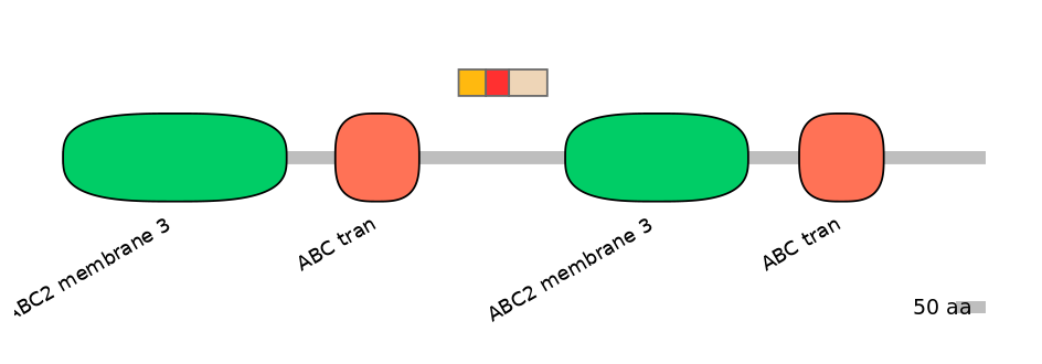 BtaEX6091119-INC