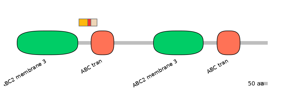 BtaEX6091125-INC