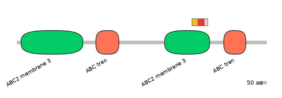BtaEX6091164-INC