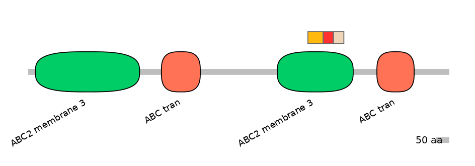 BtaEX6091165-INC